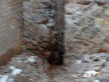 DSC01330.JPG