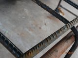 DSC01328.JPG